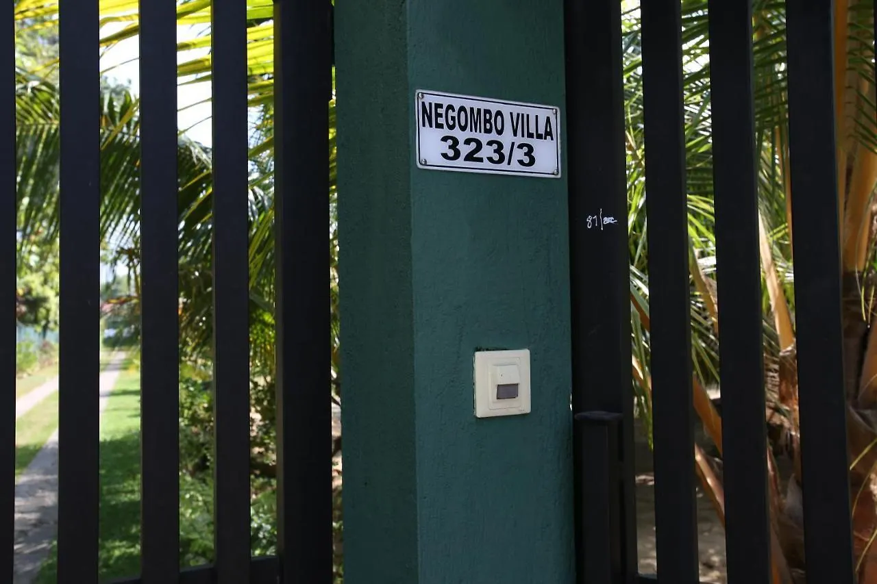 Negombovilla Sri Lanka