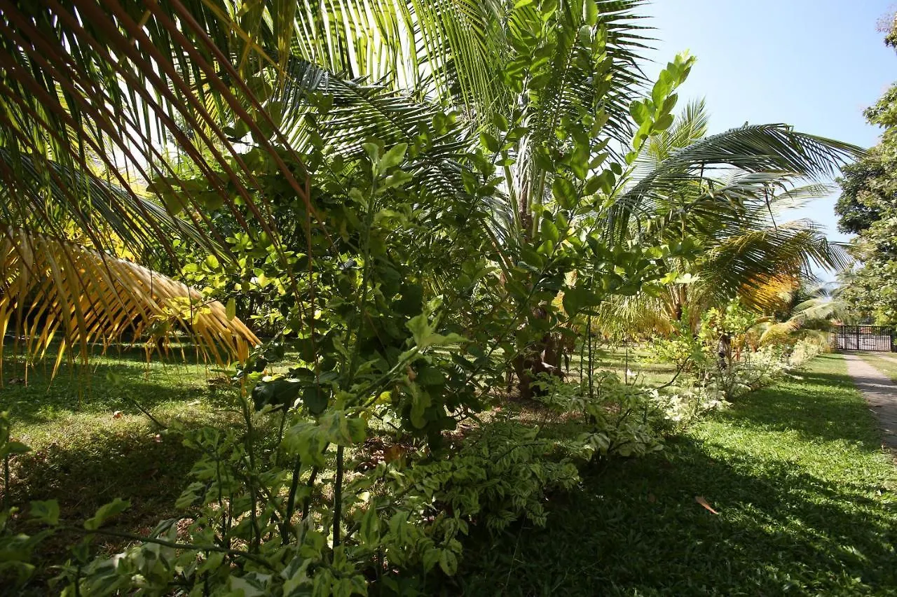 Villa Negombovilla Sri Lanka