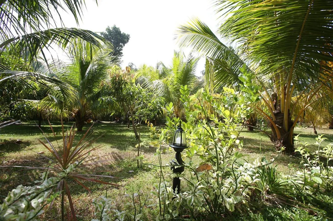 Negombovilla