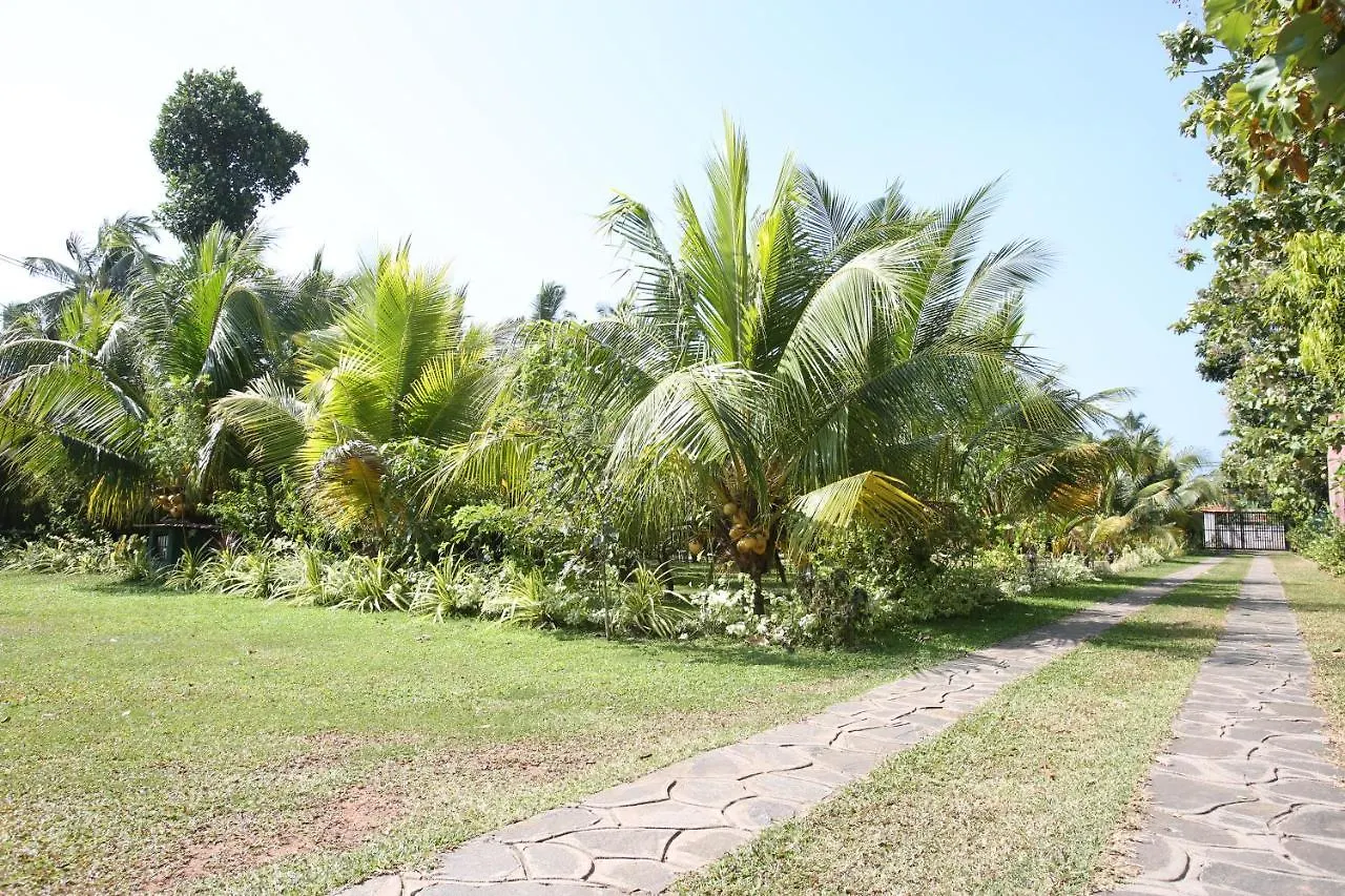 Negombovilla Villa Negombo