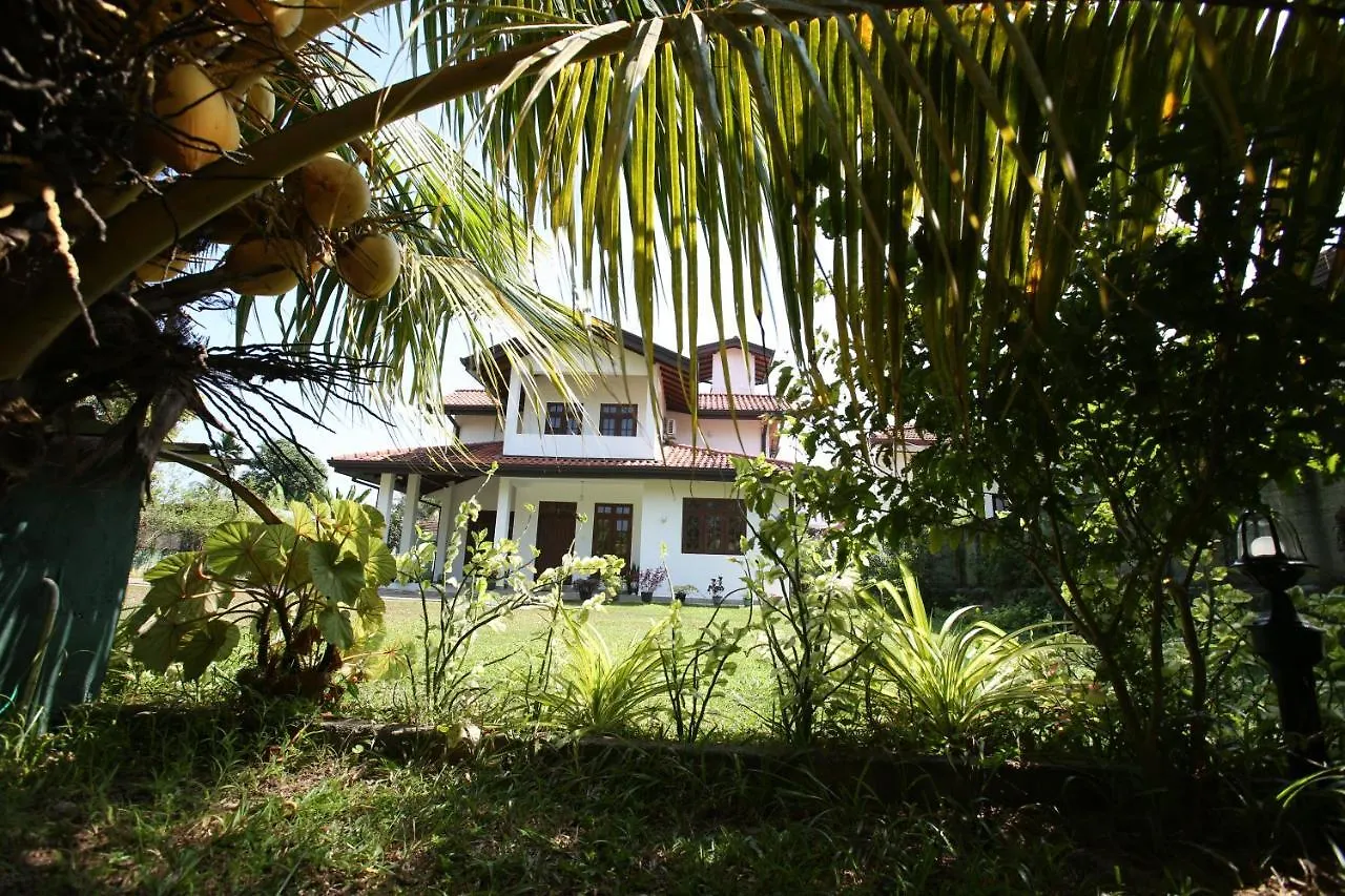 Negombovilla Negombo